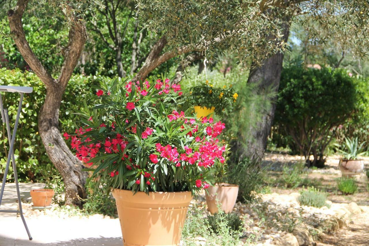 L'Atelier Bed & Breakfast Saint-Maximin  Bagian luar foto