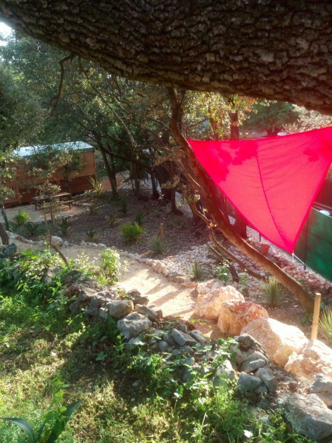 L'Atelier Bed & Breakfast Saint-Maximin  Bagian luar foto