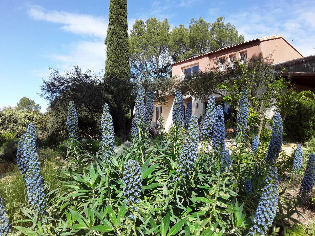 L'Atelier Bed & Breakfast Saint-Maximin  Bagian luar foto